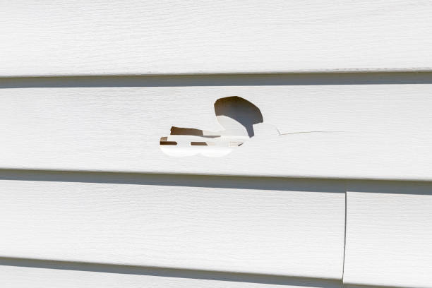 Best Storm Damage Siding Repair  in Central City, KY